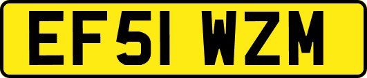 EF51WZM