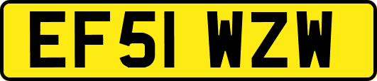 EF51WZW