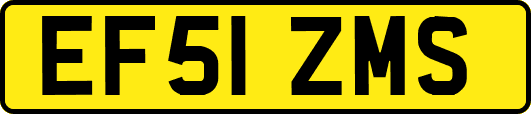 EF51ZMS