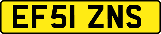 EF51ZNS