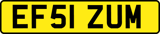 EF51ZUM