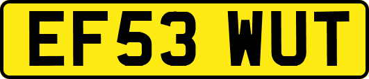 EF53WUT