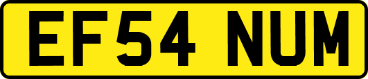 EF54NUM