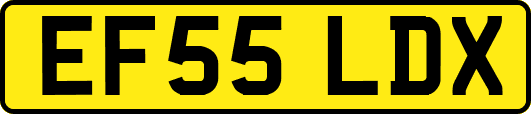 EF55LDX