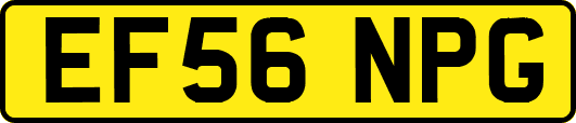 EF56NPG