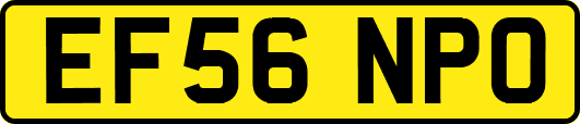 EF56NPO