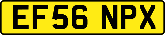 EF56NPX