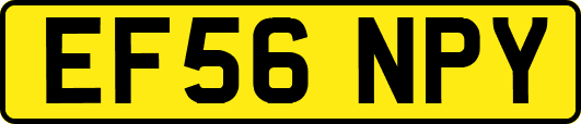 EF56NPY