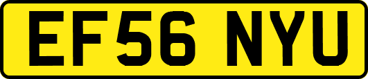 EF56NYU