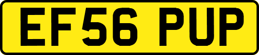 EF56PUP