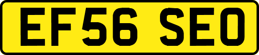 EF56SEO