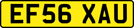 EF56XAU