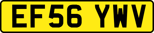 EF56YWV