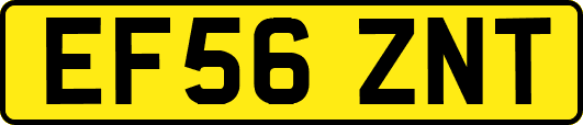 EF56ZNT