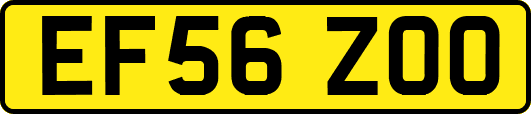 EF56ZOO