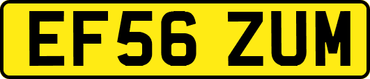 EF56ZUM