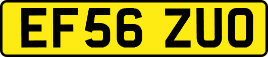 EF56ZUO
