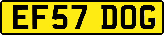 EF57DOG