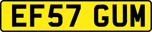 EF57GUM