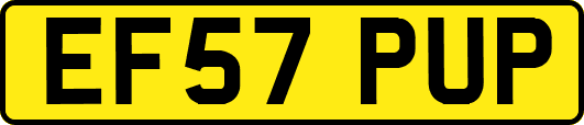 EF57PUP