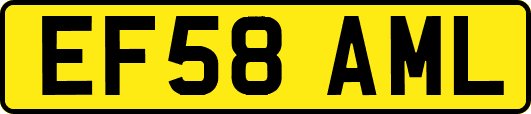 EF58AML