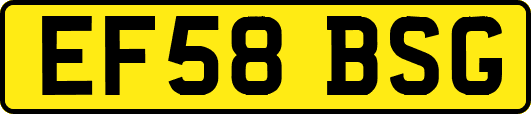 EF58BSG