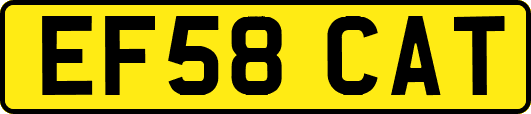 EF58CAT