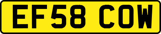 EF58COW