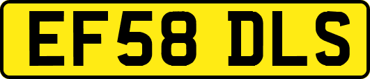EF58DLS
