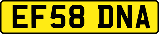 EF58DNA