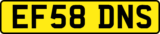 EF58DNS