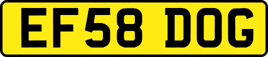 EF58DOG