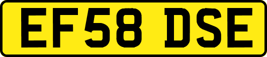 EF58DSE