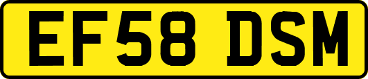 EF58DSM