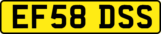 EF58DSS