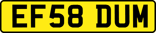 EF58DUM