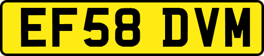 EF58DVM