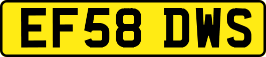 EF58DWS