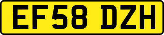 EF58DZH
