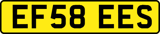 EF58EES