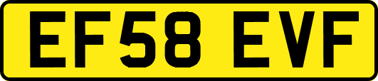 EF58EVF