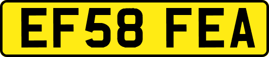 EF58FEA