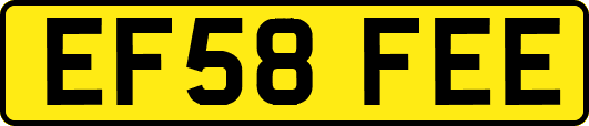 EF58FEE