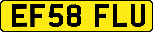 EF58FLU