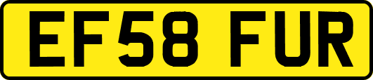 EF58FUR