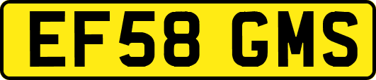 EF58GMS