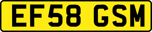 EF58GSM
