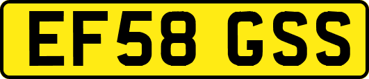 EF58GSS