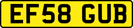 EF58GUB