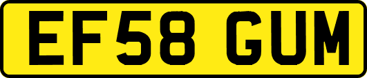 EF58GUM